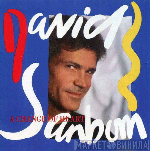  David Sanborn  - A Change Of Heart