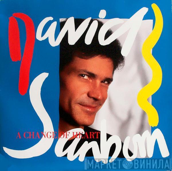  David Sanborn  - A Change Of Heart