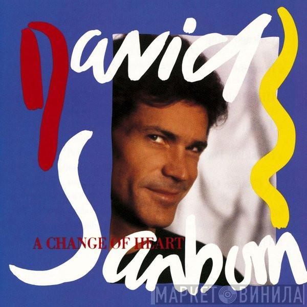  David Sanborn  - A Change Of Heart