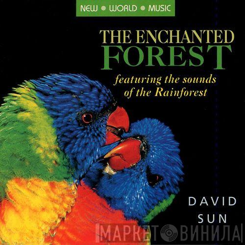 David Sun  - The Enchanted Forest
