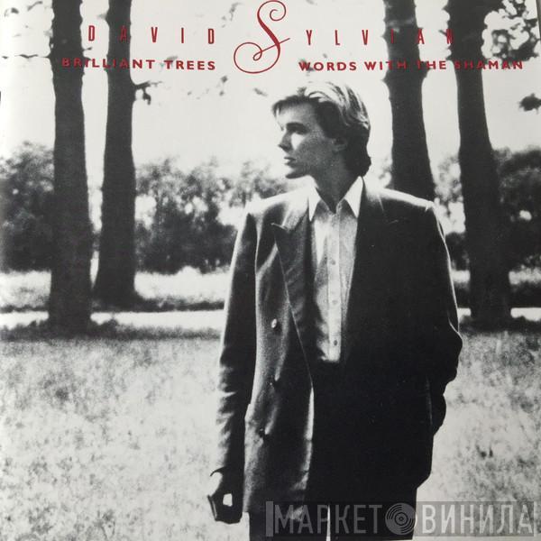 David Sylvian - Brilliant Trees / Words With The Shaman