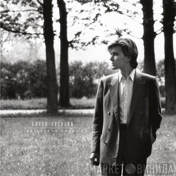 David Sylvian - Brilliant Trees