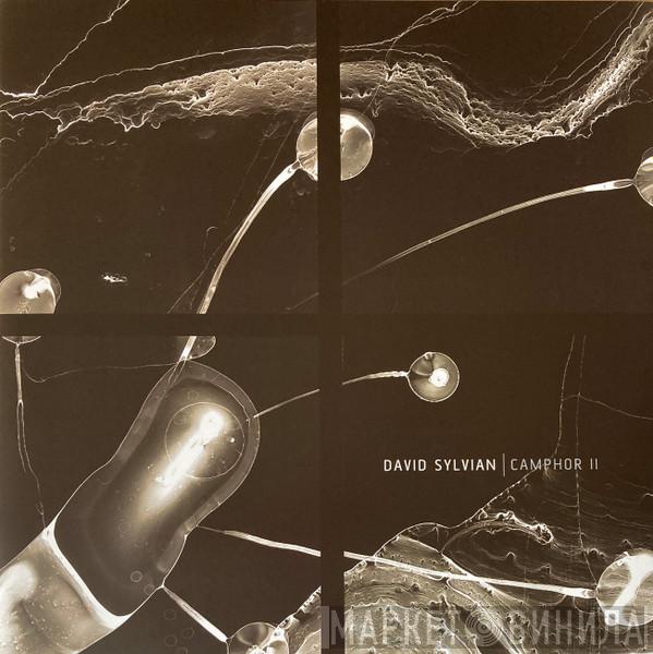 David Sylvian - Camphor II
