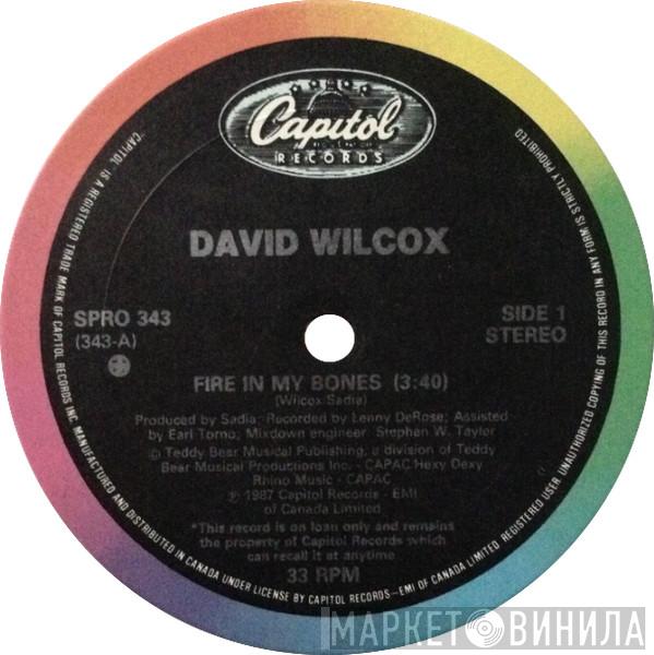 David Wilcox  - Fire In My Bones