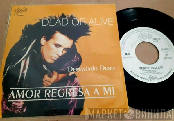  Dead Or Alive  - Amor Regresa A Mi = Lover Come Back To Me