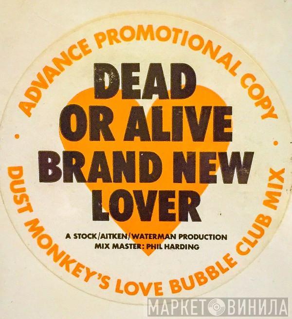  Dead Or Alive  - Brand New Lover (Dust Monkey's Love Bubble Club Mix)