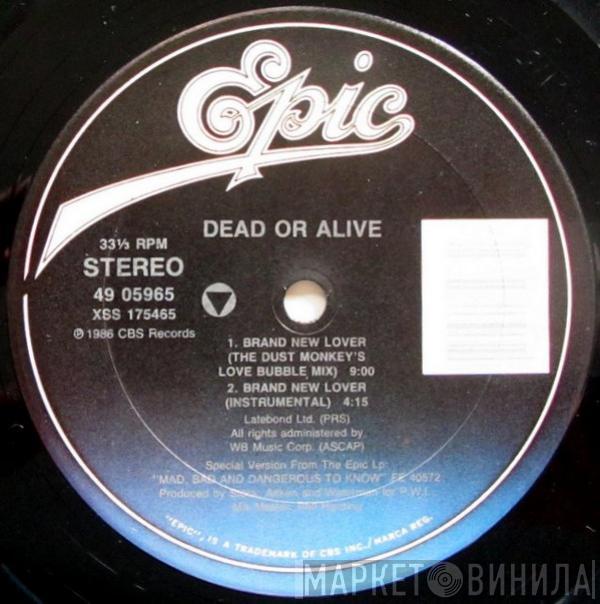  Dead Or Alive  - Brand New Lover