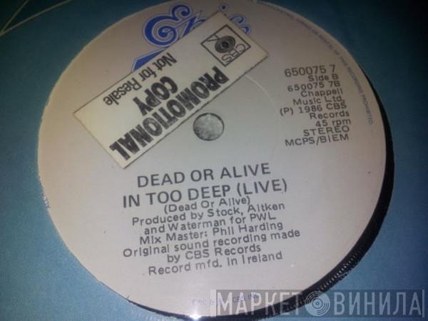  Dead Or Alive  - Brand New Lover