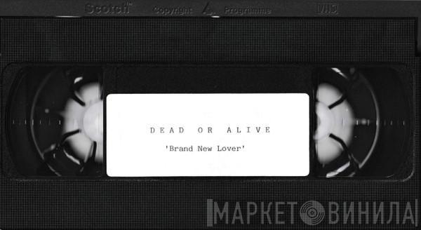  Dead Or Alive  - Brand New Lover