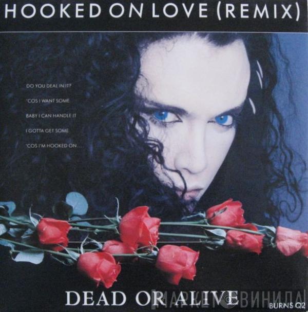  Dead Or Alive  - Hooked On Love (Remix)