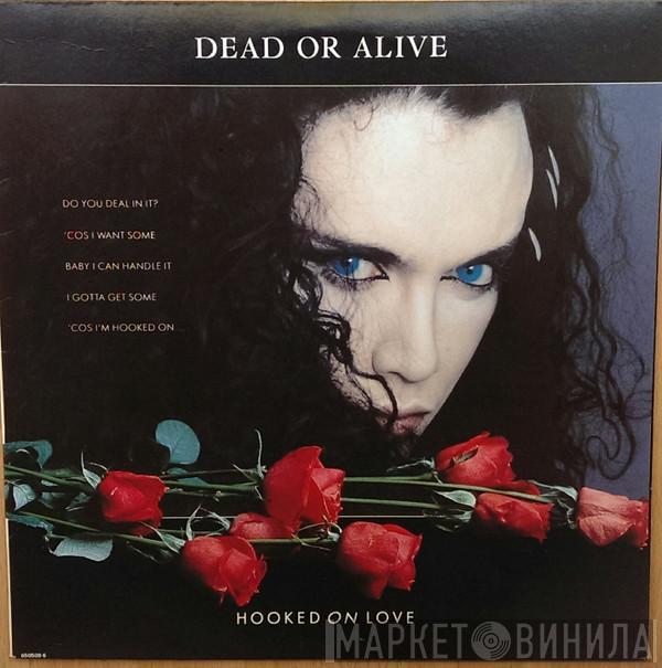 Dead Or Alive  - Hooked On Love