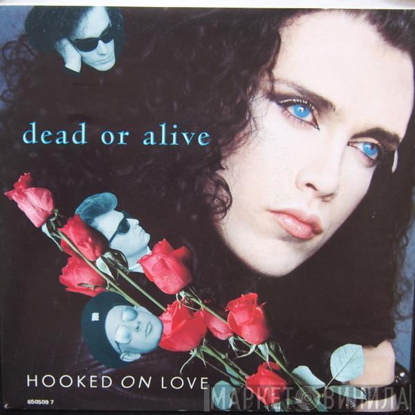  Dead Or Alive  - Hooked On Love