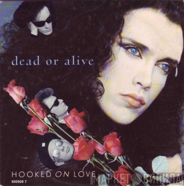  Dead Or Alive  - Hooked On Love