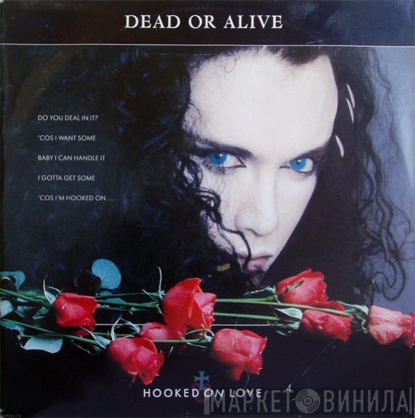  Dead Or Alive  - Hooked On Love