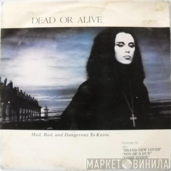  Dead Or Alive  - Mad, Bad And Dangerous To Know