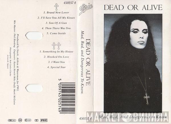 Dead Or Alive - Mad, Bad And Dangerous To Know