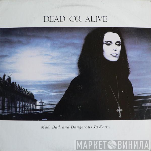  Dead Or Alive  - Mad, Bad And Dangerous To Know