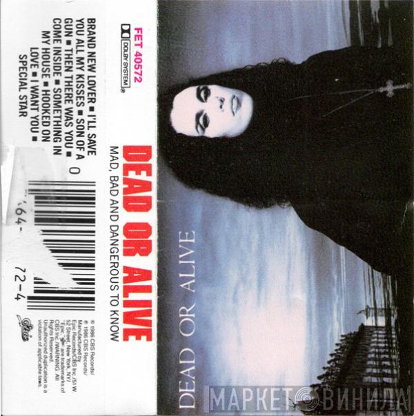 Dead Or Alive  - Mad, Bad And Dangerous To Know