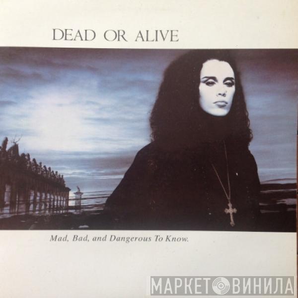 Dead Or Alive - Mad, Bad And Dangerous To Know