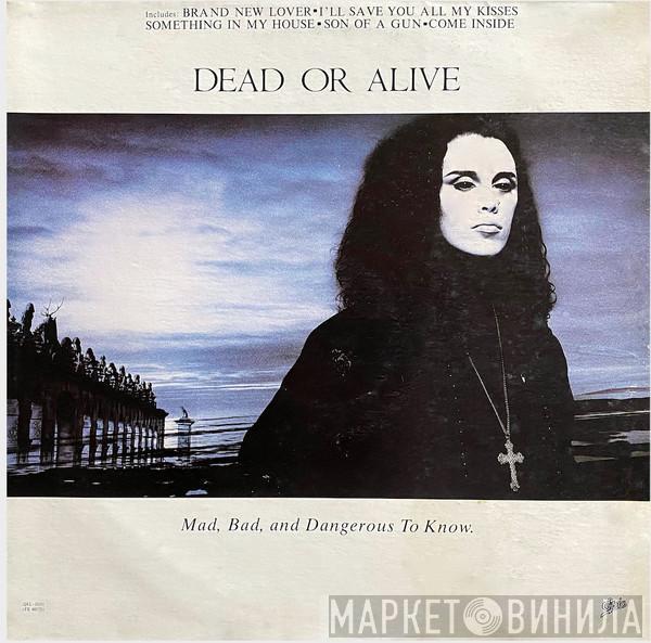  Dead Or Alive  - Mad, Bad And Dangerous To Know
