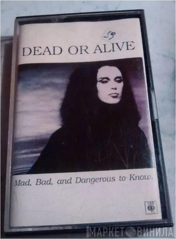  Dead Or Alive  - Mad, Bad And Dangerous To Know