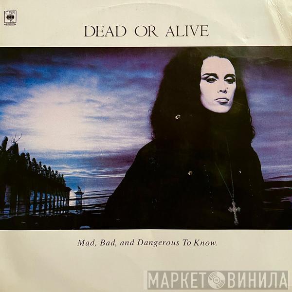  Dead Or Alive  - Mad, Bad, And Dangerous To Know