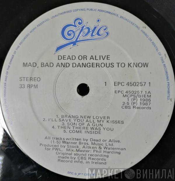  Dead Or Alive  - Mad, Bad And Dangerous To Know
