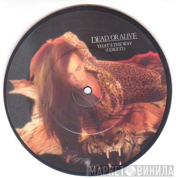  Dead Or Alive  - That's The Way (I Like It)