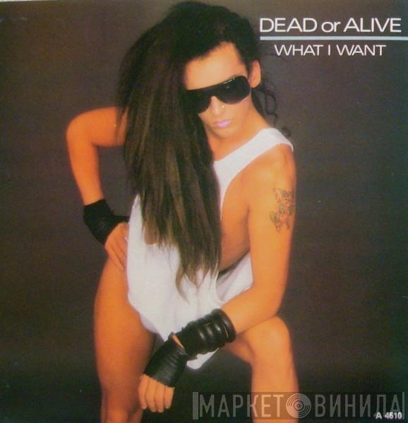  Dead Or Alive  - What I Want