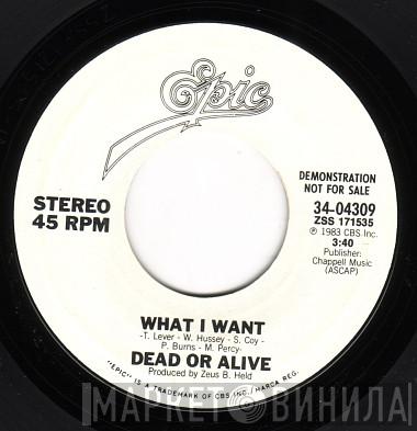  Dead Or Alive  - What I Want