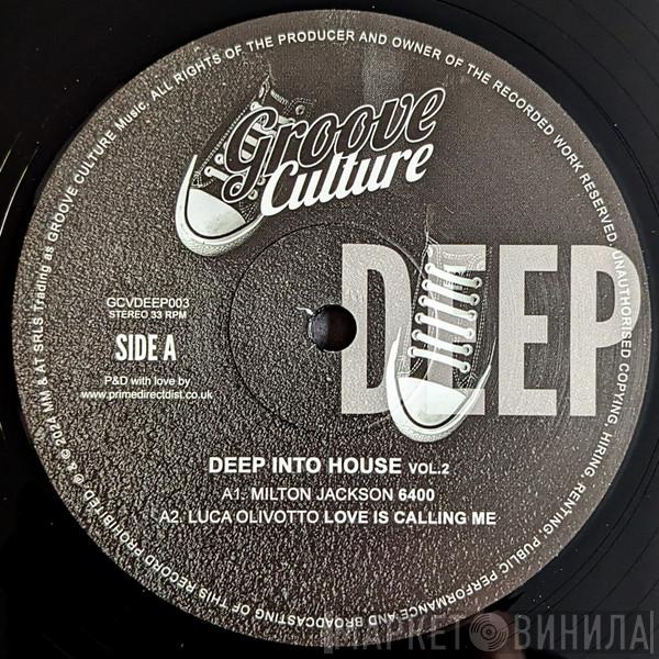  - Deep Into House Vol.2