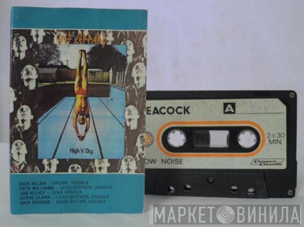  Def Leppard  - High 'N' Dry