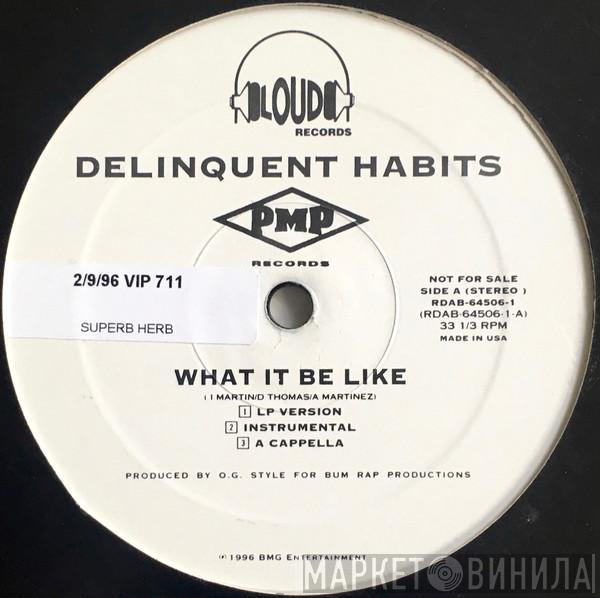 Delinquent Habits - What It Be Like