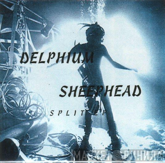 Delphium, Sheephead - Split EP