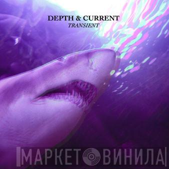Depth & Current - Transient