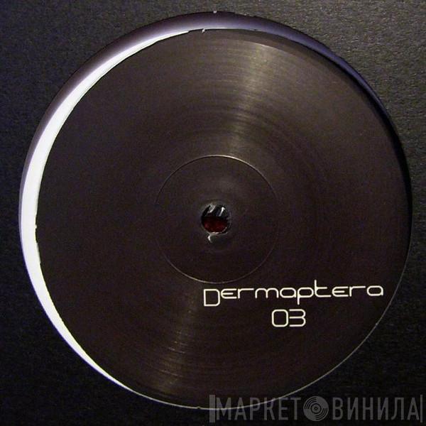 Dermaptera - Dermaptera 3