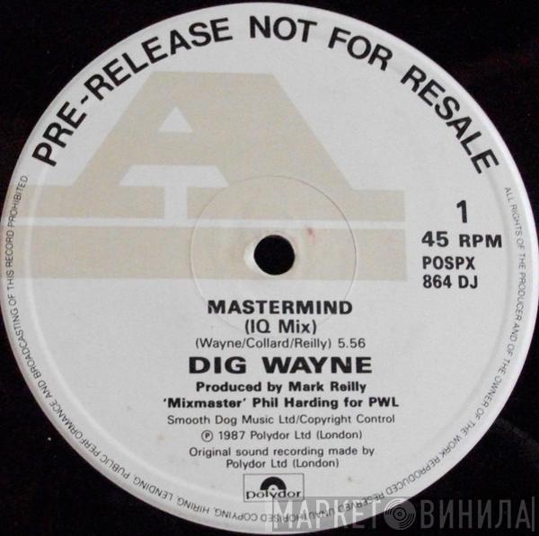 Dig Wayne - Mastermind