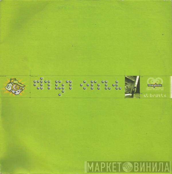 Digi Onze - El Braile