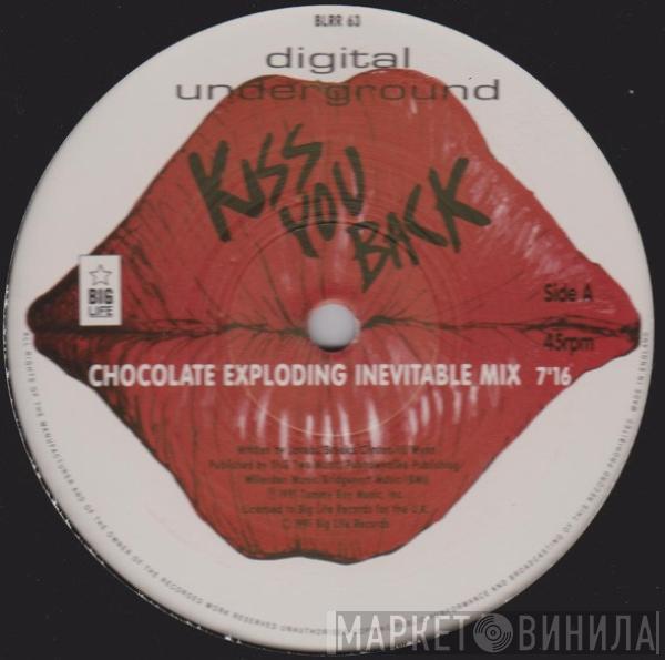 Digital Underground - Kiss You Back