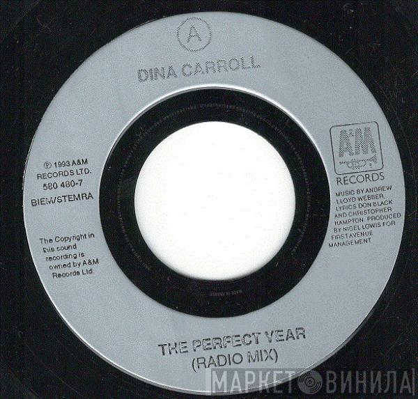 Dina Carroll - The Perfect Year