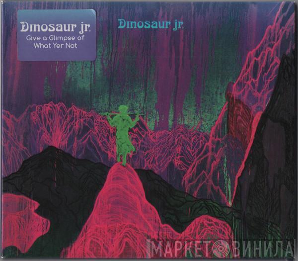 Dinosaur Jr. - Give A Glimpse Of What Yer Not