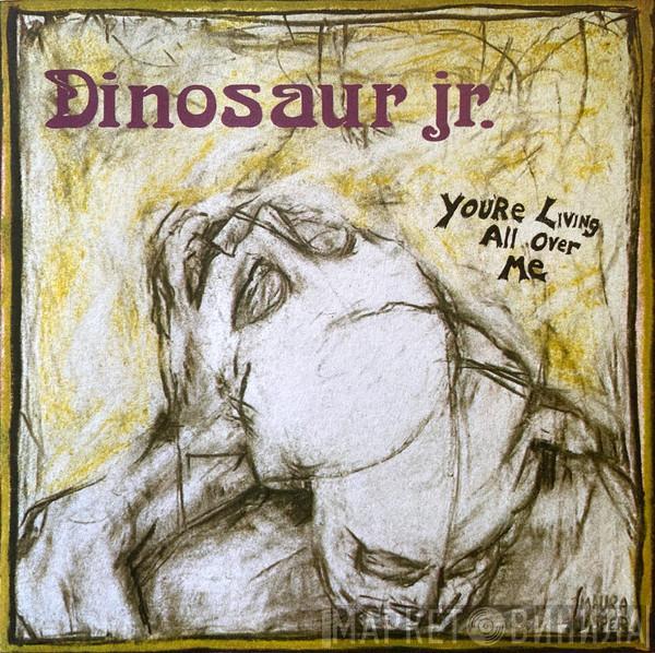 Dinosaur Jr. - You're Living All Over Me