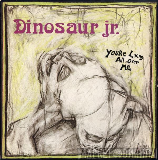 Dinosaur Jr. - You're Living All Over Me