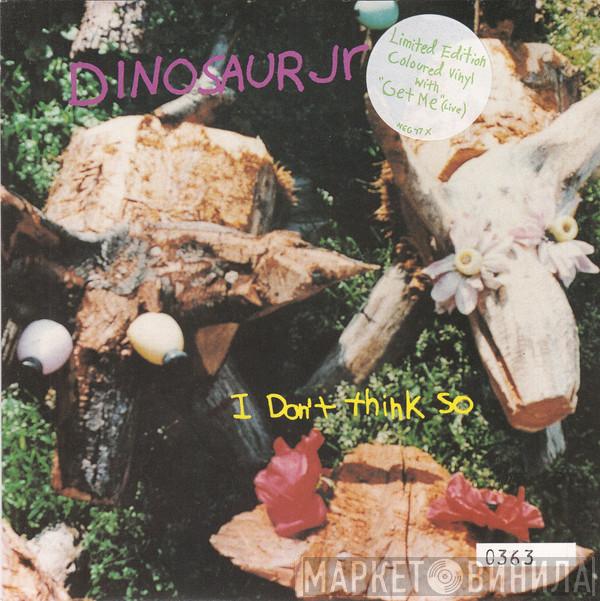 Dinosaur Jr. - I Don't Think So