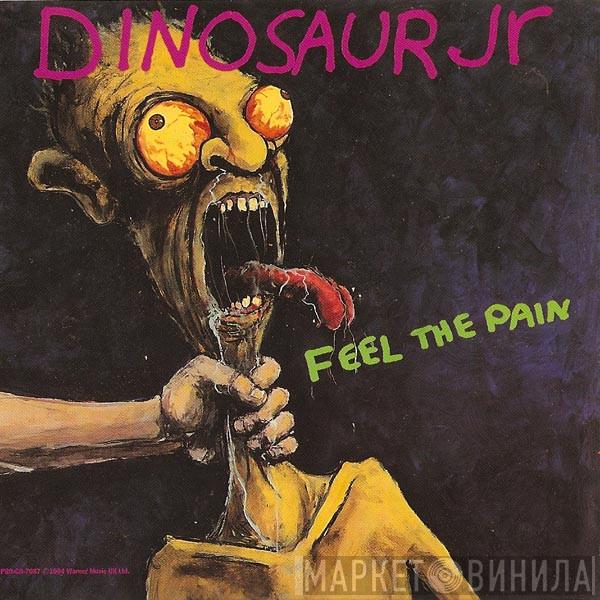 Dinosaur Jr. - Feel The Pain