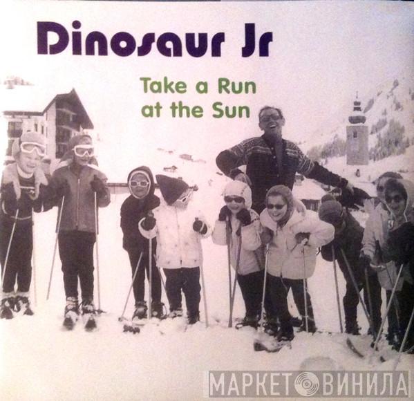 Dinosaur Jr. - Take A Run At The Sun