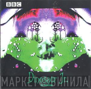 Dinosaur Jr. - In Session