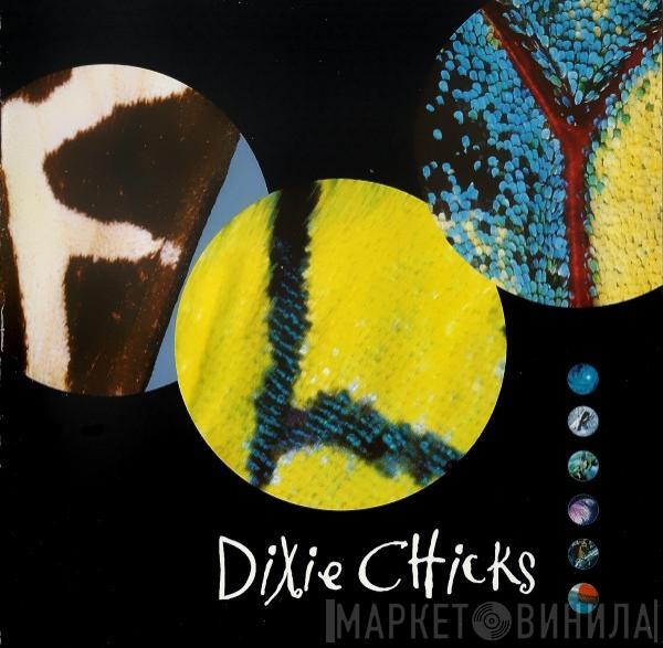  Dixie Chicks  - Fly