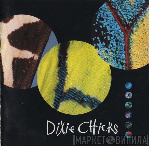 Dixie Chicks - Fly