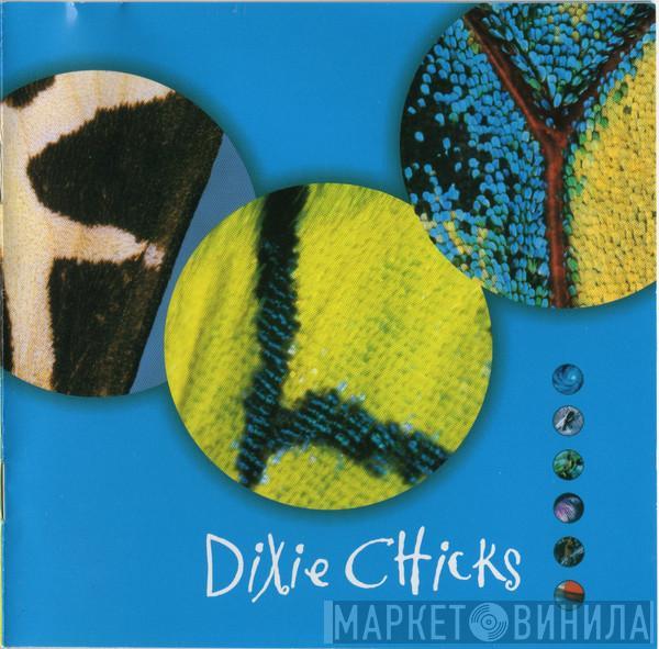 Dixie Chicks - Fly